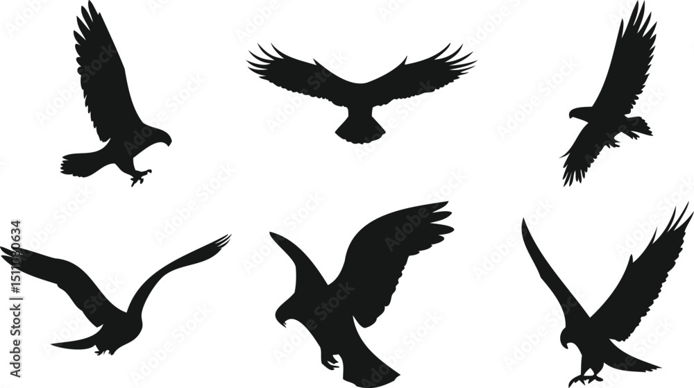 Obraz premium Birds of prey in flight
