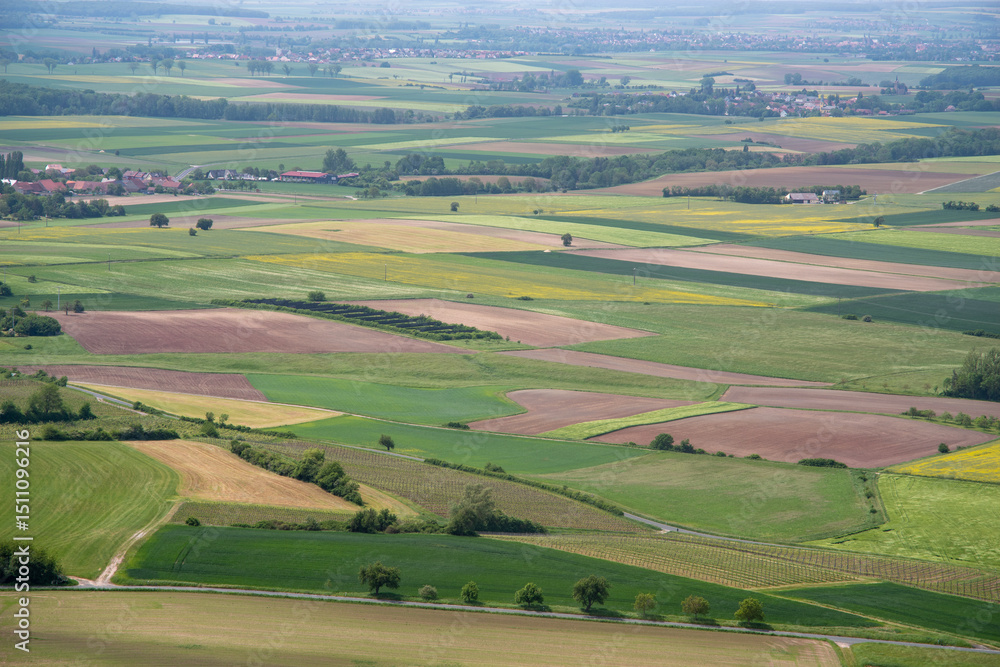 Aerial view of a lush green valley filled with fields Aerial view of a lush green valley filled with fields
