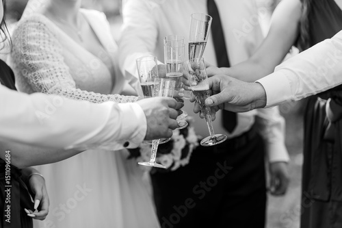 A joyful black and white wedding celebration scene with several people raising champagne glasses in a toast the bride in lace dress is visible amongst the cheerful crowd