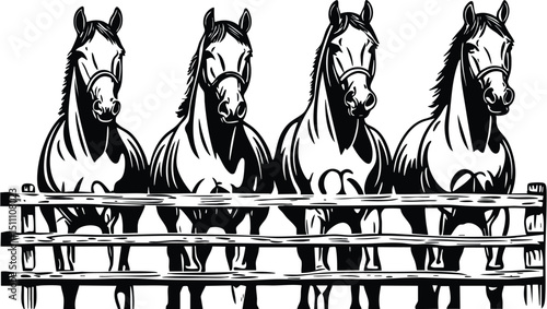 horse vector illustration