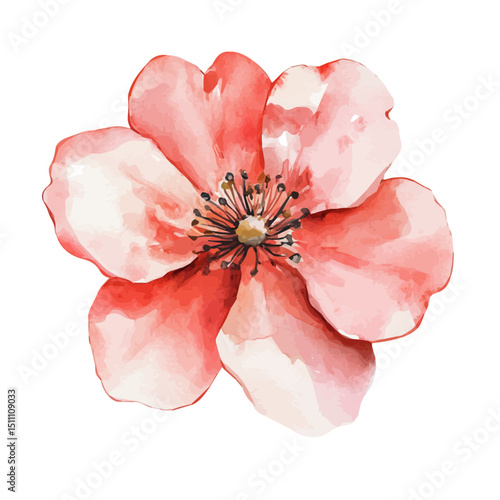 Wall Art, watercolor drawing vector, high quality, isolated on a white background.