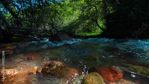 Mountain stream with clean pure water on summer day