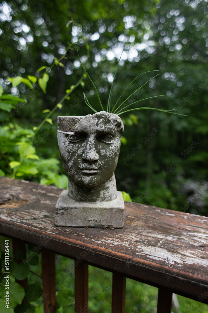 Obraz premium stone statue of a man's head as a plant pot