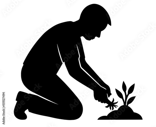 Silhouette of Man Kneeling and Collecting Seedlings – Gardening Activity, Preparing Sprouts for Transplanting, Agricultural Work, Sustainable Farming and Plant Cultivation

