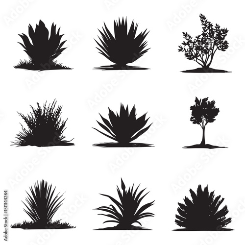 agave silhouette set, Black silhouette