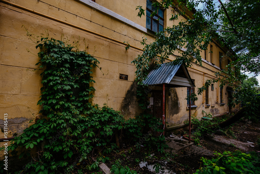 Fototapeta premium Old overgrown house in ghost town