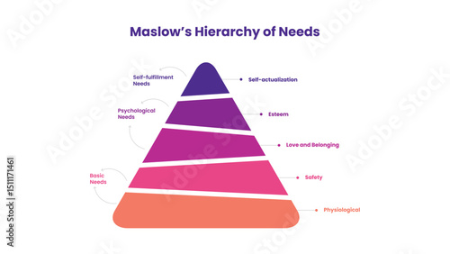 Maslow's Hierarchy of Need Model Infographic