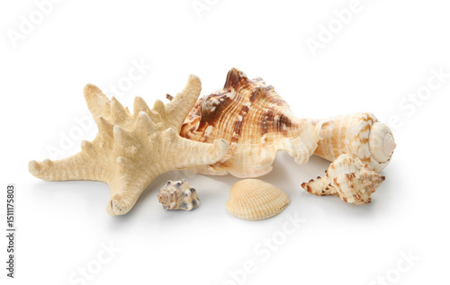 Different sea shells and st...