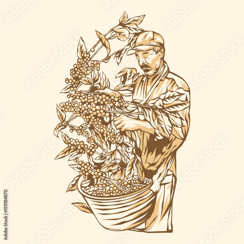 Coffee Farmer Harvesting Ripe Coffee Beans Vector Illustration