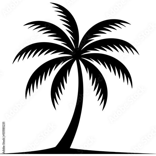 Silhouette of a Tropical Palm Tree on White Background