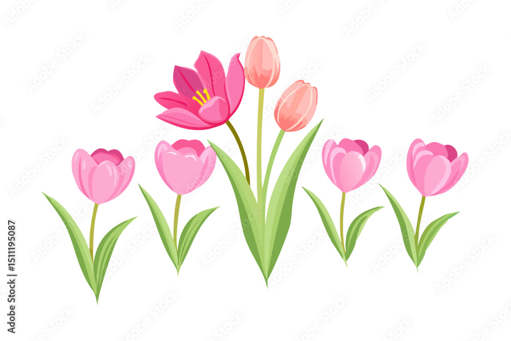 Fototapeta premium flowers