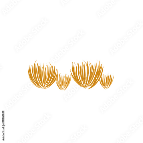 tumbleweed grass vector illustration