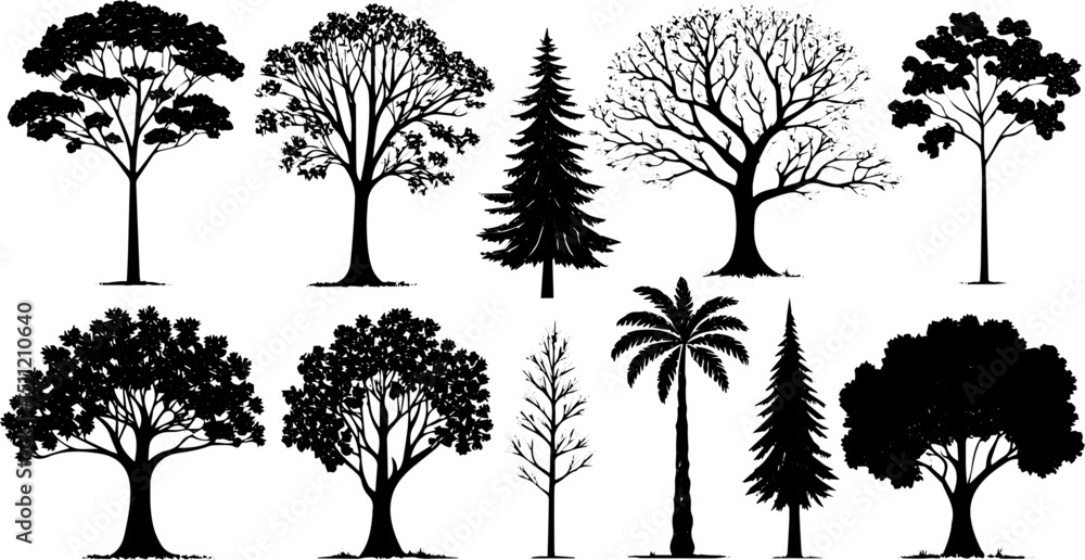 Obraz premium Diverse Tree Silhouette Set, Vector Illustration of Deciduous, Tropical, and Conifer Trees
