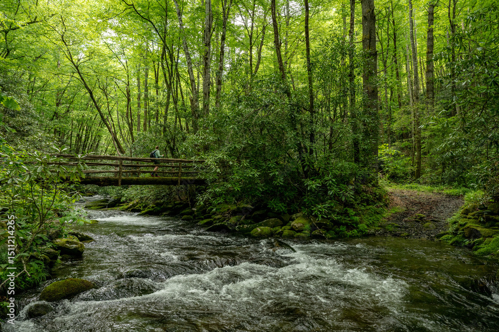 Fototapeta premium Woman Crosses Bridge While The Water of Noland Creek Rushes Below