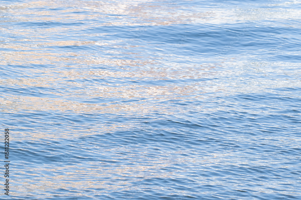 Fototapeta premium 隅田川の水面