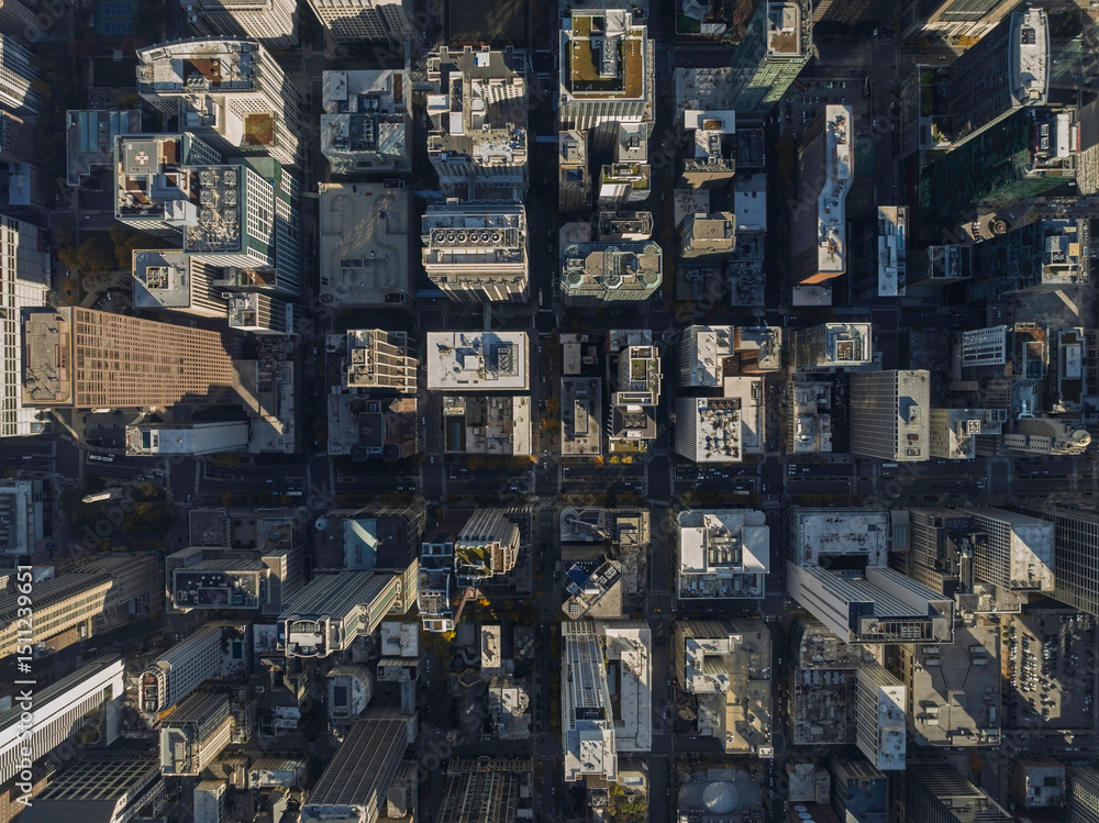 Fototapeta premium Top down aerial view of Chicago downtown buildings, city urban grid