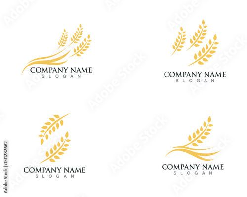 Agriculture wheat Logo Template vector icon design
