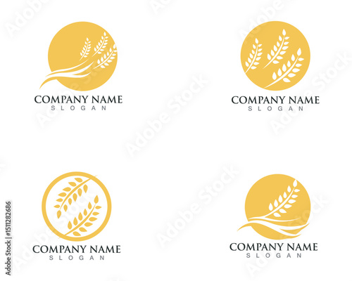 Agriculture wheat Logo Template vector icon design