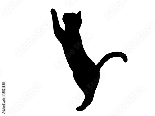 cat silhouette　11　立ち上がって爪とぎをするネコのシルエット　icon