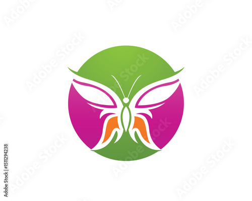 Butterfly conceptual simple, colorful icon. Logo. Vector illustration