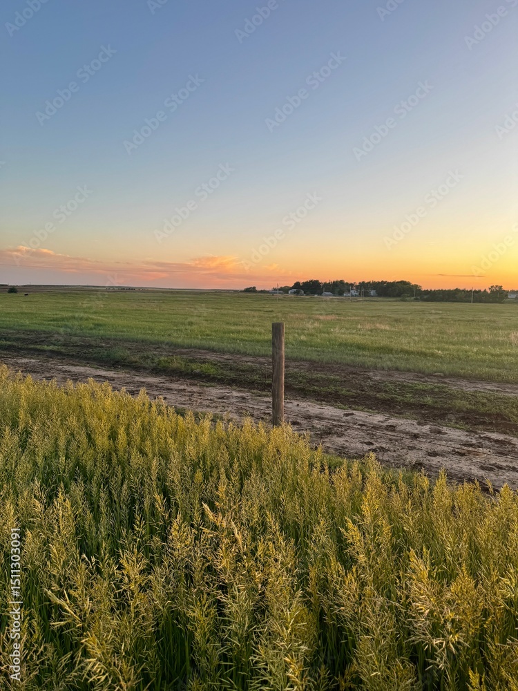 Obraz premium Fence line in Western Kansas