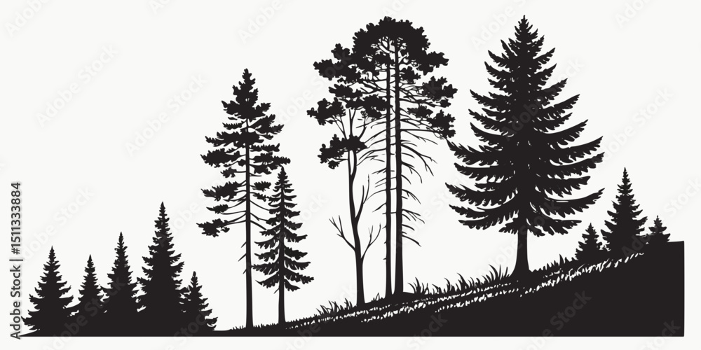 Fototapeta premium Pine Tree Silhouettes – Evergreen Forest Firs and Spruces Vector Set on White Background