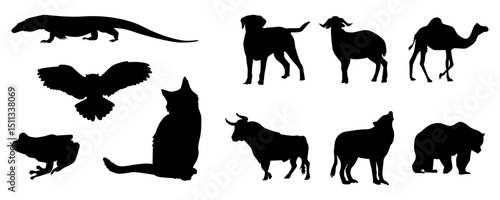 Animal Silhouette Illustration Set