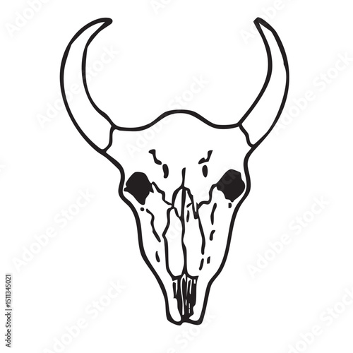 Hand drawn western vector doodle of bull's skull. Line art illustrations with wild west atmosphere.	