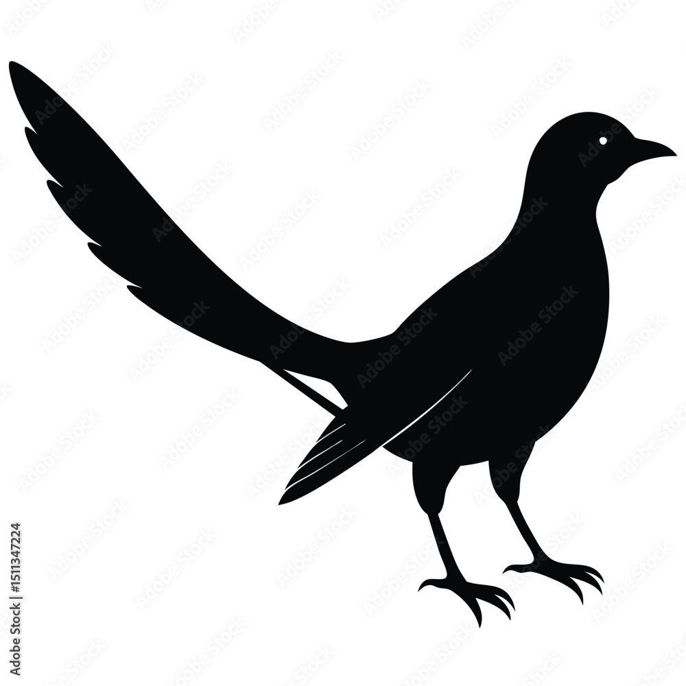 Obraz premium silhouette of a pigeon