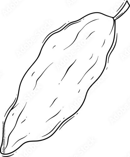 Illustration of a Cucumber
