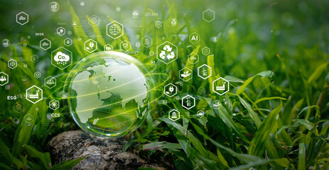 Seedling growing on moss with green forest icon - environment esg concept, ecology and sustainable environment of the world. Eco-friendly green business. ecology, earth day, csr and net zero