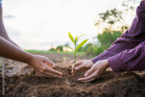  people are planting a tree together