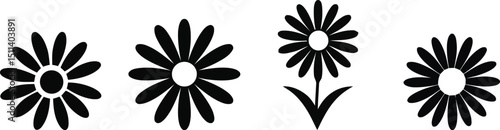 Vector illustration of Set a daisy flower head


