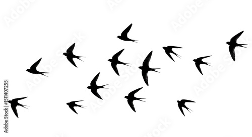Flock of Birds in Flight Elegant Black Silhouette Illustration
