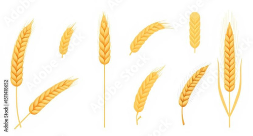 Grain icon, Grain vector, Grain illustration, Wheat grain, Rice grain, Corn grain, Barley grain, Oat grain, Grain texture, Whole grain, Cereal grain, Harvest grain, Organic grain, Golden grain, Grain 