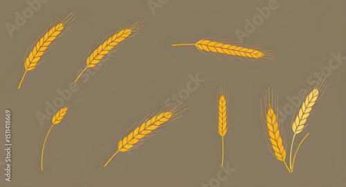 grains illustration set