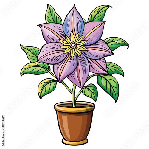 clematis flower  vector illustration