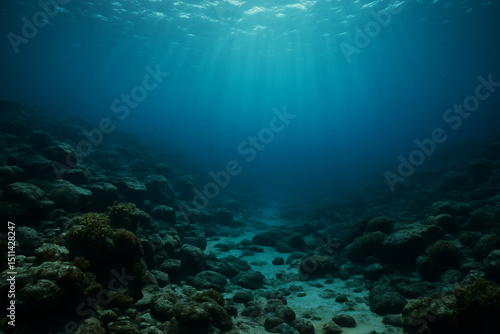 海底