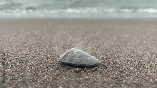 Solitary Dark Stone on Volcanic Black Sand Beach, Shallow Depth of Field