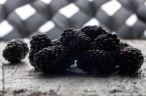 Back-Lit Blackberry Cluster Silhouette on Rustic Wood