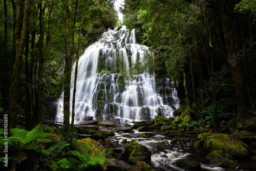 Stunning waterfall and wonderful rainforest in Tasmania 
