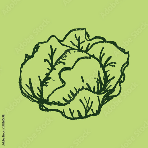 Doodle elements of fruit and vegetable, specifically a Cabbage