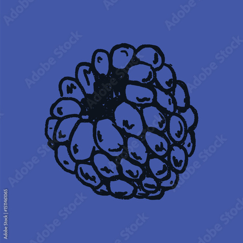 Doodle elements of fruit and vegetable, specifically a Raspberry