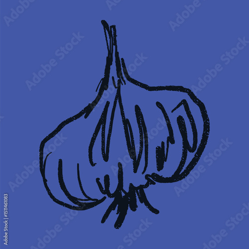 Doodle elements of fruit and vegetable, specifically a Garlic
