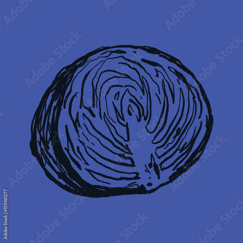 Doodle elements of fruit and vegetable, specifically a Cabbage