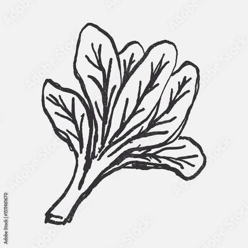 Doodle elements of fruit and vegetable, specifically a Spinach