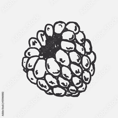 Doodle elements of fruit and vegetable, specifically a Raspberry