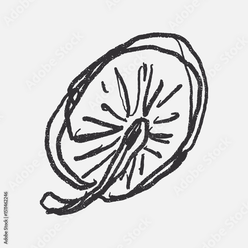 Doodle elements of fruit and vegetable, specifically a Mushroom