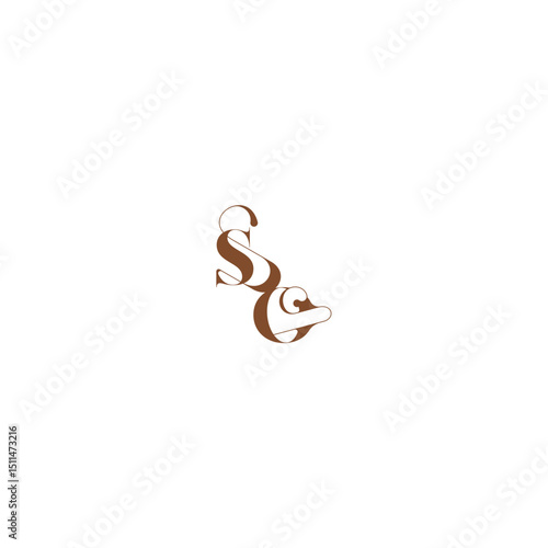 bold and hairline initial wedding logo concept SO elegant curve monogram letter