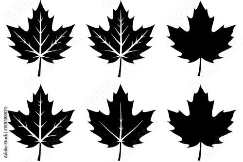set of maple leaves silhouette vector